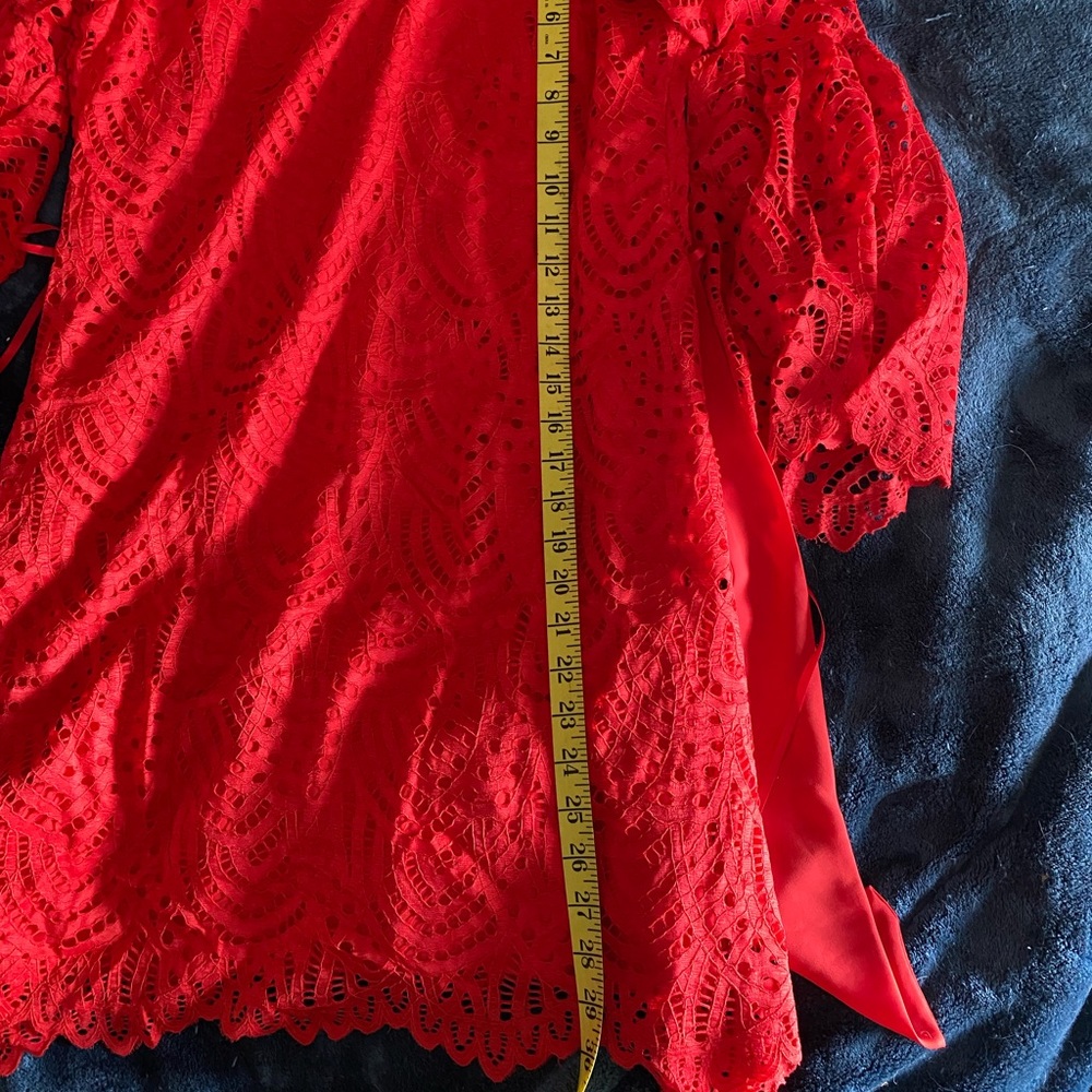 NWOT gorgeous lace dress - Picture 8 of 8